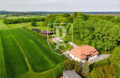 Herrenhaus/Gutshaus kaufen Przedbórz, Lodz, Foto 29/42