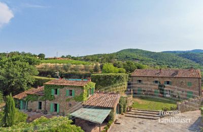 Casa di campagna in vendita Arezzo, Toscana, RIF 2993 Blick auf Anwesen 