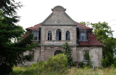 Sorgenkind: Neuer Eigentümer für Gutshaus in Dargibell