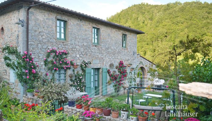 Landhaus Gaiole in Chianti 4