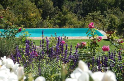 Landhaus kaufen Gaiole in Chianti, Toskana, RIF 3003 Pool