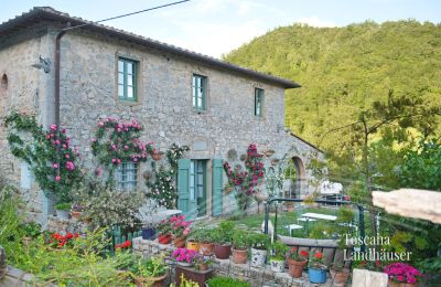 Landhaus kaufen Gaiole in Chianti, Toskana, RIF 3003 Ansicht