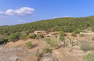 Maison de campagne à vendre Sarteano, Toscane, RIF 3005 Anwesen und Umgebung