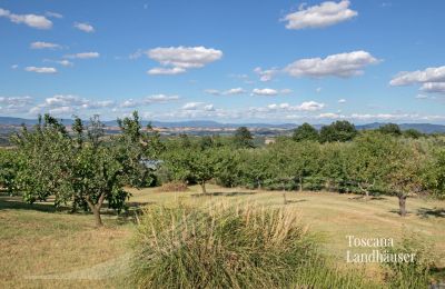 Ferme à vendre Sarteano, Toscane, RIF 3009 Panoramablick