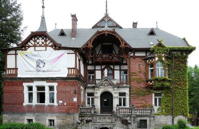 Villa historique à vendre Kudowa-Zdrój, Zdrojowa 36, Basse-Silésie,, Vue frontale