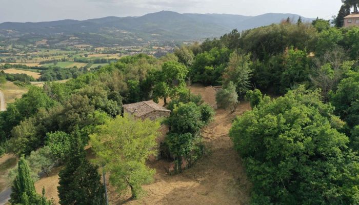 Bauernhaus Città di Castello 3