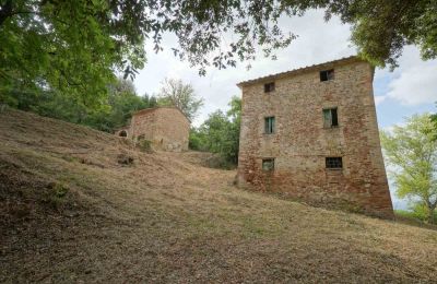 Bauernhaus kaufen Città di Castello, Umbrien, Foto 15/23