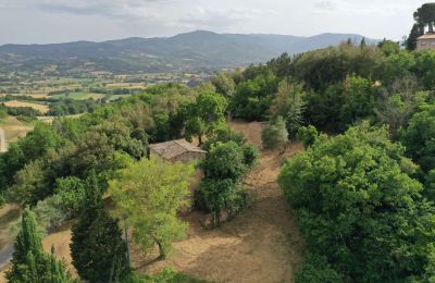 Bauernhaus kaufen Città di Castello, Umbrien, Foto 3/23