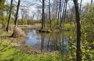 Parco storico in vendita Dębe Wielkie, Ruda, Mazovia, Foto 8/24