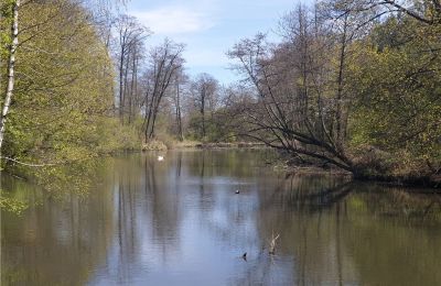 Parco storico in vendita Dębe Wielkie, Ruda, Mazovia, Foto 14/24