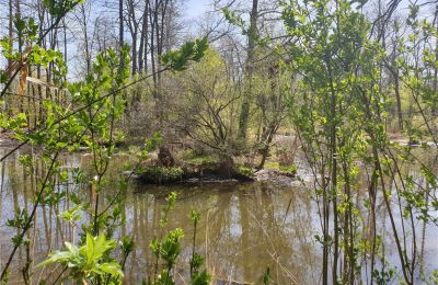 Parco storico in vendita Dębe Wielkie, Ruda, Mazovia, Foto 17/24