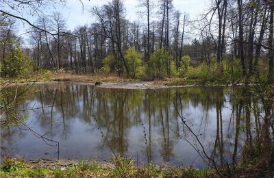 Parco storico in vendita Dębe Wielkie, Ruda, Mazovia, Foto 20/24