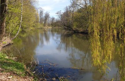 Parco storico in vendita Dębe Wielkie, Ruda, Mazovia, Foto 22/24