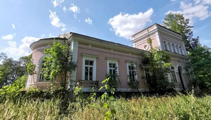 Herrenhaus/Gutshaus Lubiatów, Lodz