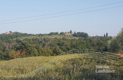 Bauernhaus kaufen Sinalunga, Toskana, RIF 3032 Blick auf Rustico