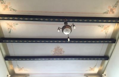 Historische Villa kaufen Strzelin, Kazanów 21, Niederschlesien, Foto 7/20