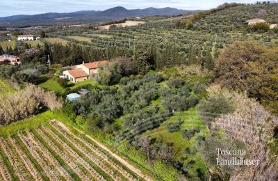 Maison de campagne à vendre Castagneto Carducci, Toscane, RIf 3057 Anwesen und Olivenbäume