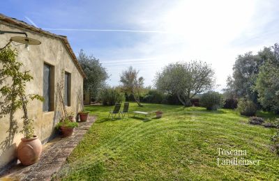 Maison de campagne à vendre Castagneto Carducci, Toscane, RIF 3057 Garten