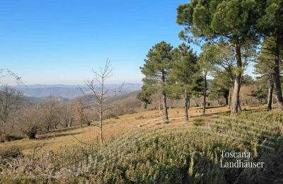 Landhaus kaufen Gaiole in Chianti, Toskana, RIF 3041 Ausblick