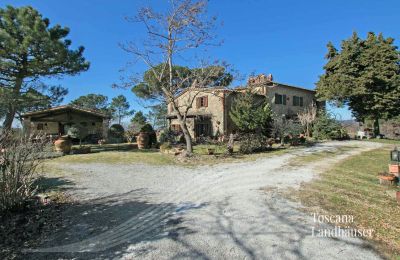 Landhaus kaufen Gaiole in Chianti, Toskana, RIF 3041 Zufahrt