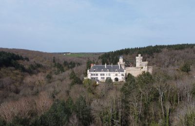 Schloss kaufen Veauce, Auvergne-Rhône-Alpes, Lage der Immobilie