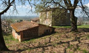 Bauernhaus Siena 3