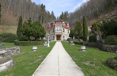 Villa historique à vendre 72574 Bad Urach, Bade-Wurtemberg, Frontalansicht