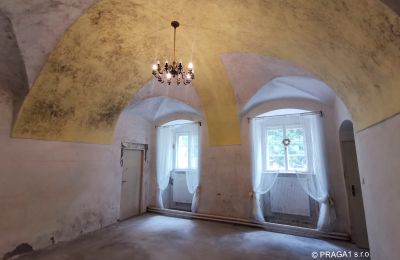 Château à vendre Opava, Moravskoslezský kraj, Image 11/15