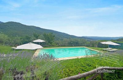 Landhaus kaufen Loro Ciuffenna, Toskana, RIF 3098 Pool