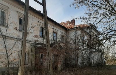 Gefährdete Denkmäler in Polen: Der Palast in Sobieszyn, Lublin, Foto 9