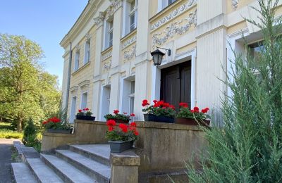 Château à vendre Gola, Grande-Pologne, Image 27/27