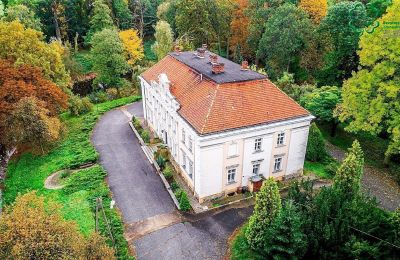 Château à vendre Gola, Grande-Pologne, Photo Drone