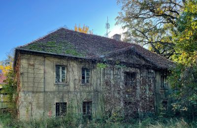 Château à vendre Skoraszewice, Skoraszewice  16, Grande-Pologne, Manoir