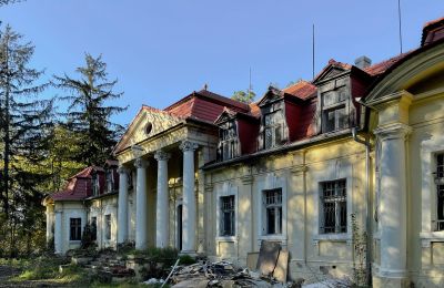 Château à vendre Skoraszewice, Skoraszewice  16, Grande-Pologne, Image 7/8