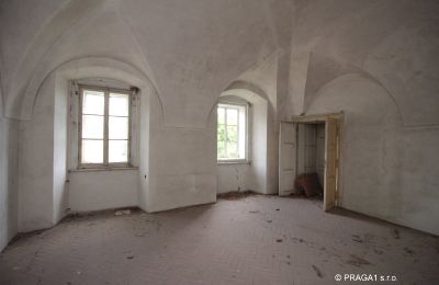 Château à vendre Karlovarský kraj, Image 10/16