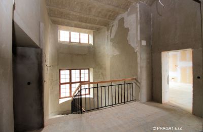 Historische Villa kaufen Karlovy Vary, Karlovarský kraj, Foto 8/10