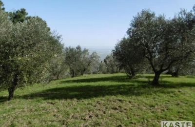 Maison de campagne à vendre Rivalto, Toscane, Image 7/14