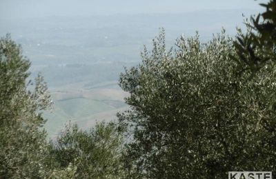 Maison de campagne à vendre Rivalto, Toscane, Image 9/14