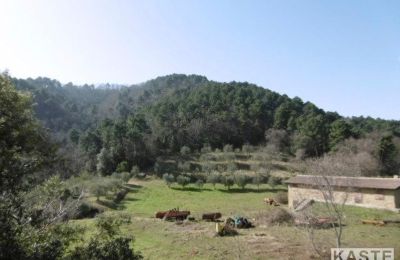 Maison de campagne à vendre Rivalto, Toscane, Image 11/14