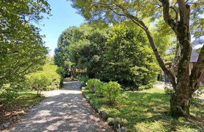 Villa storica in vendita Verbano-Cusio-Ossola, Intra, Piemonte, Foto 10/30