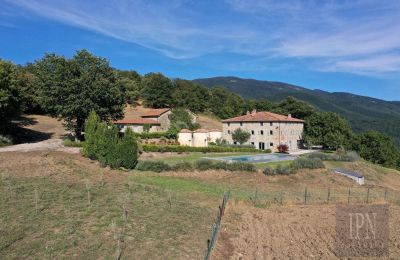 Herrenhaus/Gutshaus kaufen Sansepolcro, Toskana, Foto 15/41