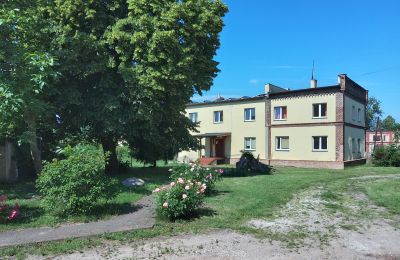 Schloss kaufen Głuchowo, Palac 1, Großpolen, Foto 20/29