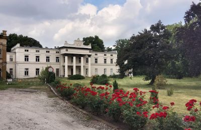 Schloss kaufen Głuchowo, Palac 1, Großpolen, Zufahrt