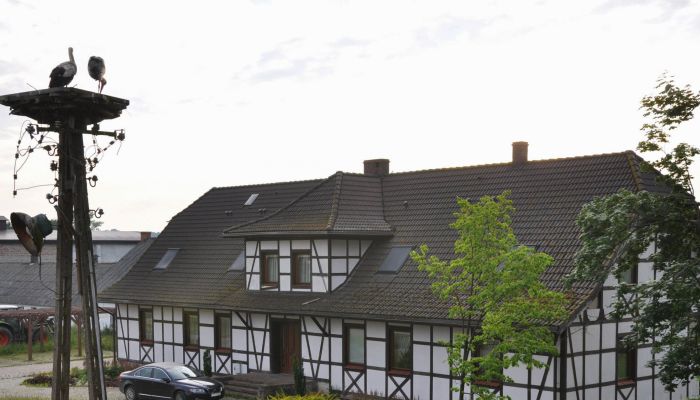 Herrenhaus/Gutshaus Dobrzany 3