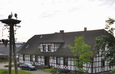 Herrenhaus/Gutshaus kaufen Dobrzany, Westpommern, Foto 3/20