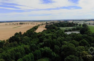 Château à vendre Budziwojów, Pałac w Budziwojowie, Basse-Silésie, Image 5/17