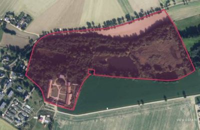 Château à vendre Budziwojów, Pałac w Budziwojowie, Basse-Silésie, Terrain