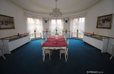 Herrenhaus/Gutshaus kaufen Karlovy Vary, Karlovarský kraj, Innenansicht 1