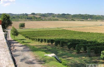 Villa storica in vendita Terricciola, Toscana, Proprietà