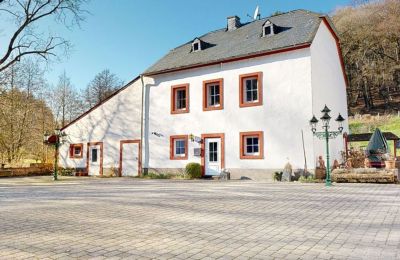 Herrenhaus/Gutshaus kaufen 54518 Heidweiler, Rheinland-Pfalz, Haus 4